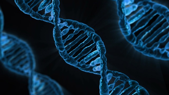 Should You Undergo Genetic Testing